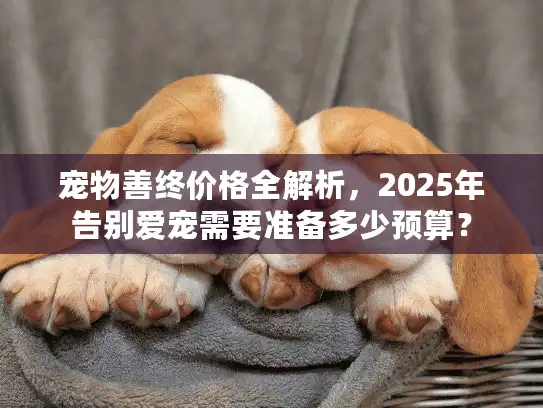 宠物善终价格全解析，2025年告别爱宠需要准备多少预算？