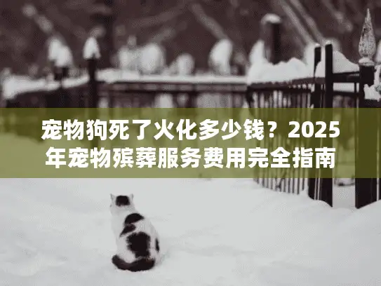 宠物狗死了火化多少钱？2025年宠物殡葬服务费用完全指南