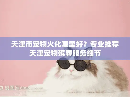 天津市宠物火化哪里好？专业推荐天津宠物殡葬服务细节