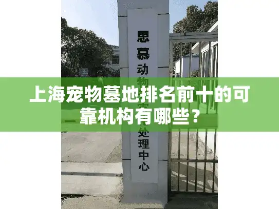 上海宠物墓地排名前十的可靠机构有哪些？