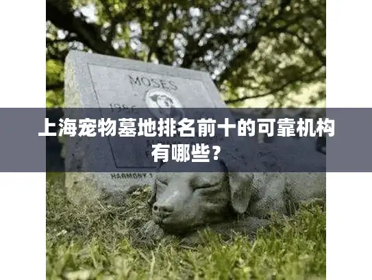 上海宠物墓地排名前十的可靠机构有哪些？