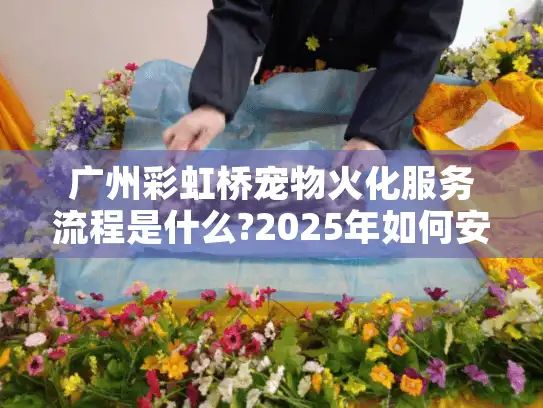 广州彩虹桥宠物火化服务流程是什么?2025年如何安心送别爱宠?