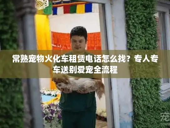 常熟宠物火化车租赁电话怎么找？专人专车送别爱宠全流程