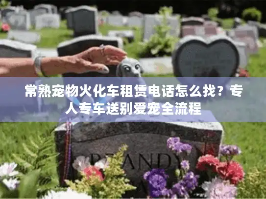 常熟宠物火化车租赁电话怎么找？专人专车送别爱宠全流程