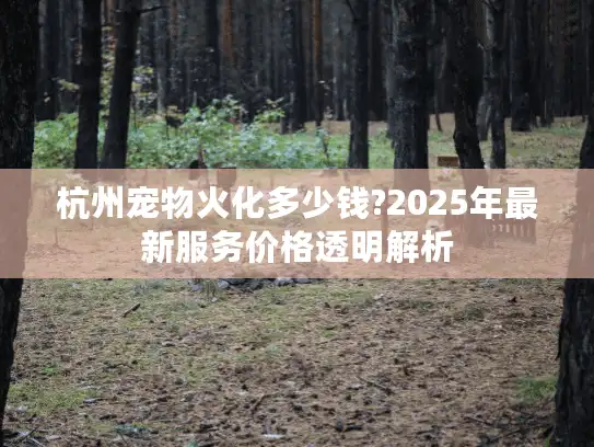 杭州宠物火化多少钱?2025年最新服务价格透明解析