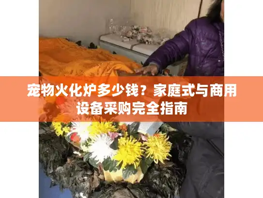 宠物火化炉多少钱？家庭式与商用设备采购完全指南