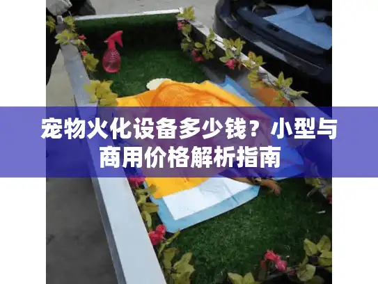 宠物火化设备多少钱？小型与商用价格解析指南
