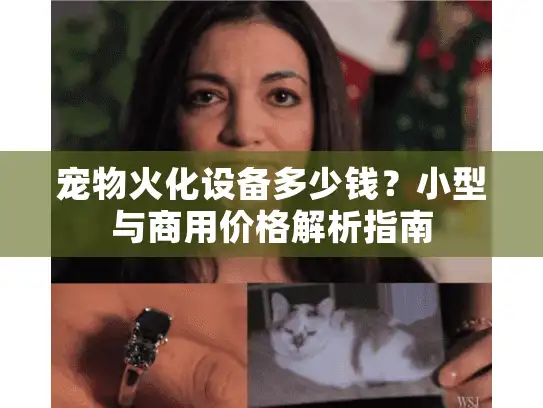 宠物火化设备多少钱？小型与商用价格解析指南