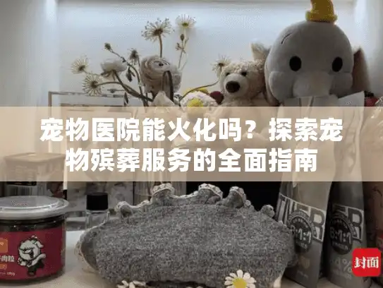 宠物医院能火化吗？探索宠物殡葬服务的全面指南