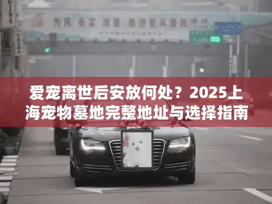 爱宠离世后安放何处？2025上海宠物墓地完整地址与选择指南