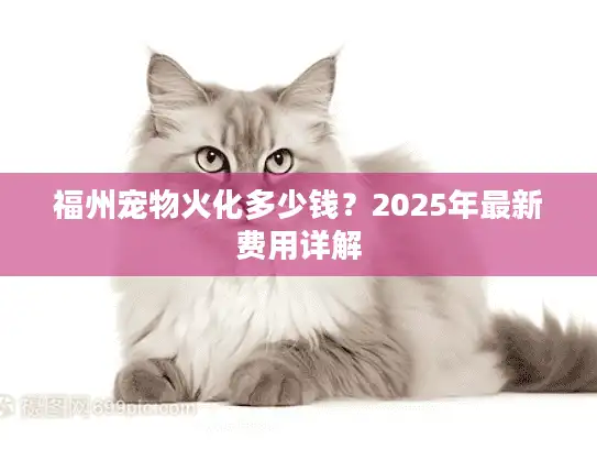 福州宠物火化多少钱？2025年最新费用详解