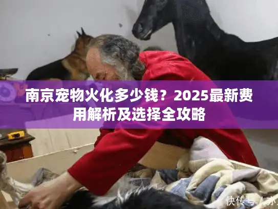 南京宠物火化多少钱？2025最新费用解析及选择全攻略