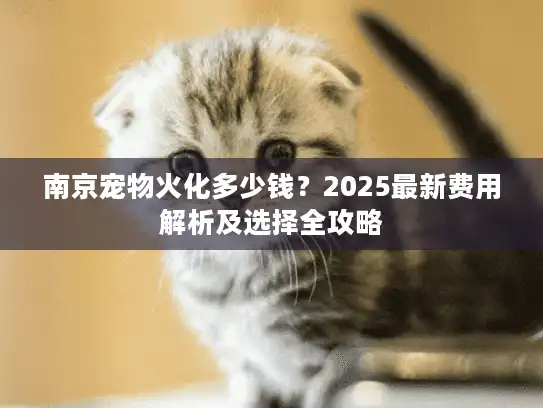 南京宠物火化多少钱？2025最新费用解析及选择全攻略