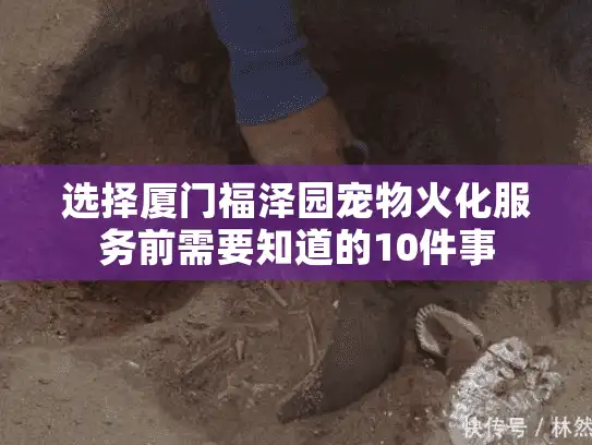 选择厦门福泽园宠物火化服务前需要知道的10件事