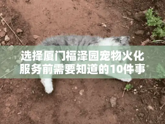 选择厦门福泽园宠物火化服务前需要知道的10件事
