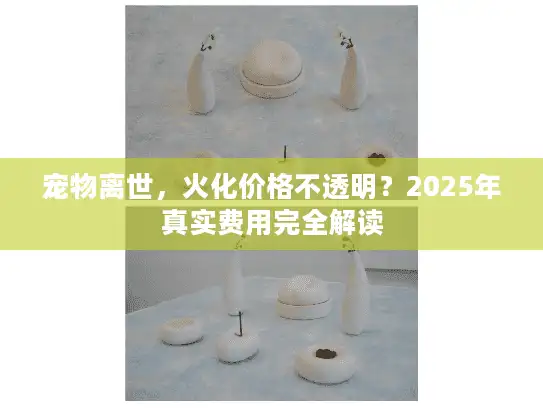 宠物离世，火化价格不透明？2025年真实费用完全解读