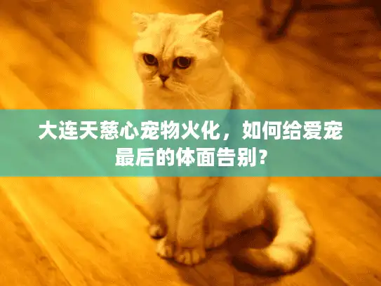 大连天慈心宠物火化，如何给爱宠最后的体面告别？