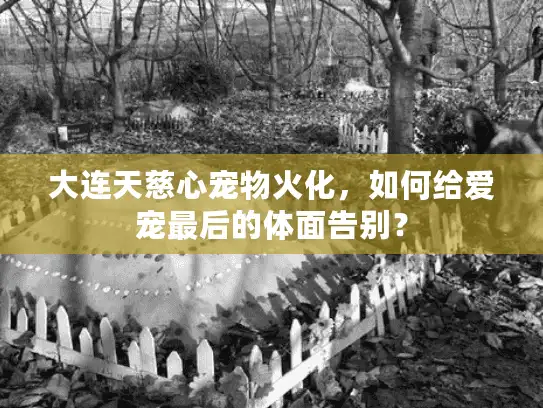 大连天慈心宠物火化，如何给爱宠最后的体面告别？
