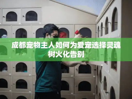 成都宠物主人如何为爱宠选择灵魂树火化告别