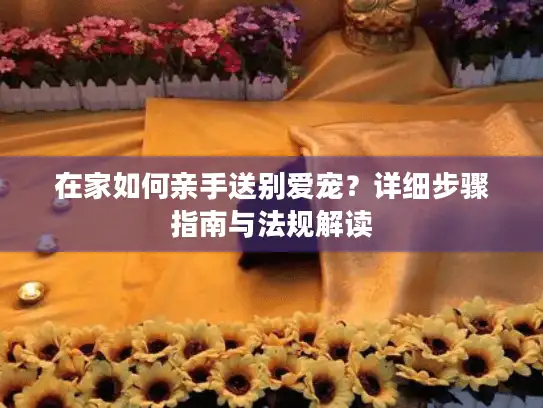 在家如何亲手送别爱宠？详细步骤指南与法规解读