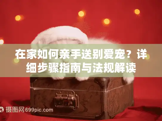 在家如何亲手送别爱宠？详细步骤指南与法规解读