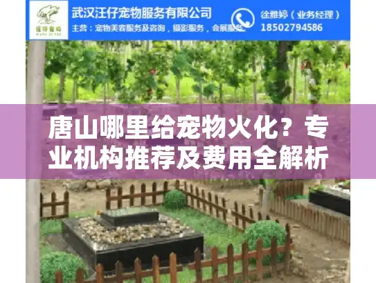 唐山哪里给宠物火化？专业机构推荐及费用全解析