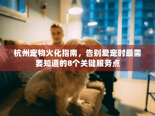杭州宠物火化指南，告别爱宠时最需要知道的8个关键服务点