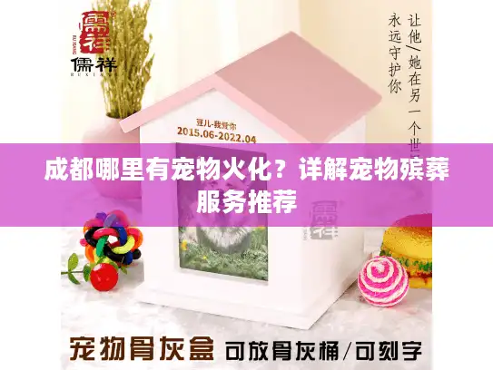 成都哪里有宠物火化？详解宠物殡葬服务推荐