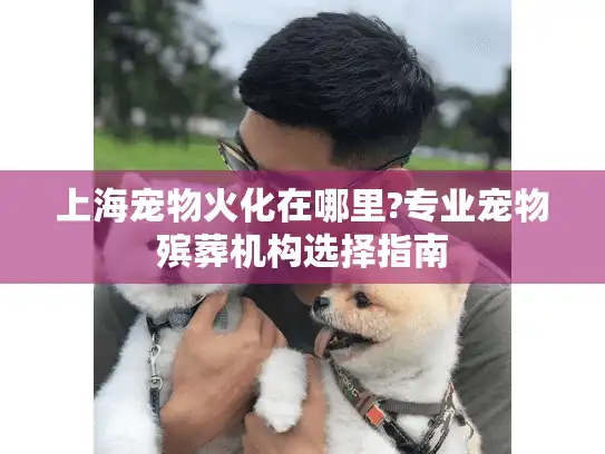 上海宠物火化在哪里?专业宠物殡葬机构选择指南