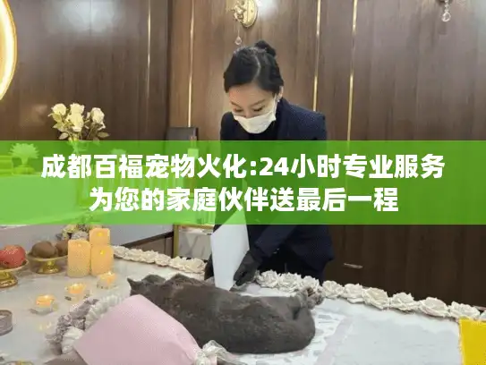 成都百福宠物火化:24小时专业服务为您的家庭伙伴送最后一程