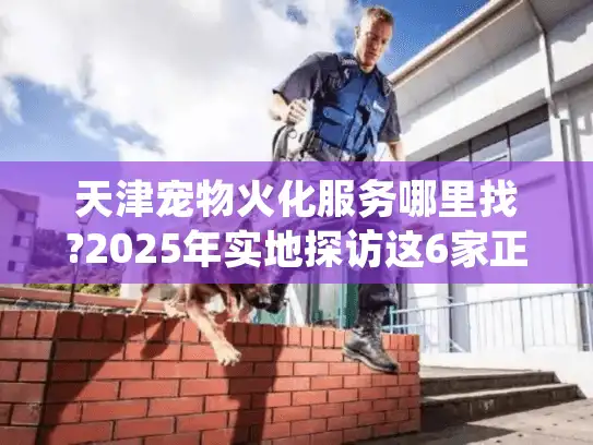 天津宠物火化服务哪里找?2025年实地探访这6家正规机构