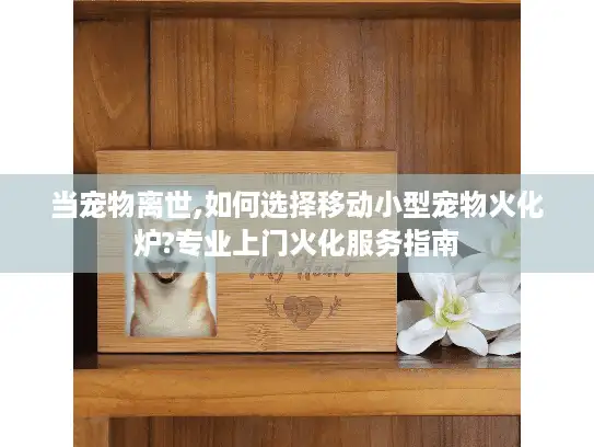 当宠物离世,如何选择移动小型宠物火化炉?专业上门火化服务指南