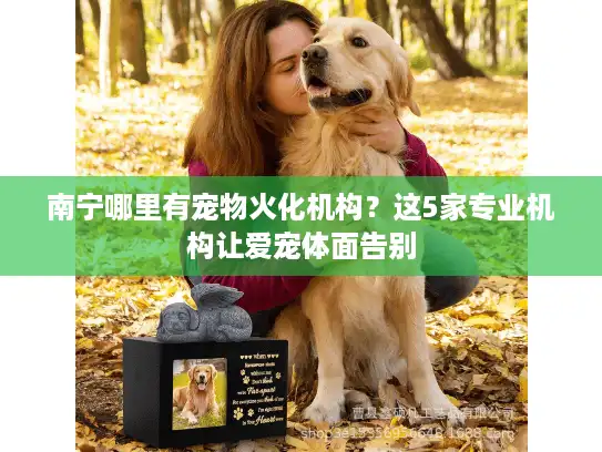 南宁哪里有宠物火化机构？这5家专业机构让爱宠体面告别