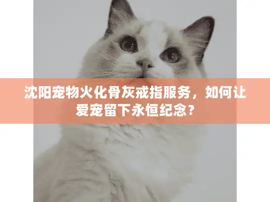 沈阳宠物火化骨灰戒指服务，如何让爱宠留下永恒纪念？
