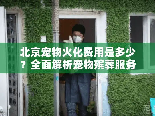 北京宠物火化费用是多少？全面解析宠物殡葬服务价格
