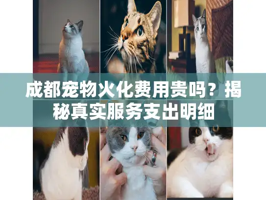 成都宠物火化费用贵吗？揭秘真实服务支出明细