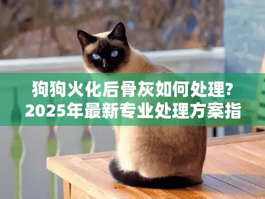 狗狗火化后骨灰如何处理?2025年最新专业处理方案指南