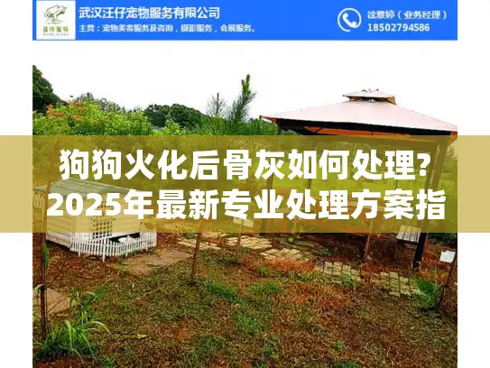 狗狗火化后骨灰如何处理?2025年最新专业处理方案指南