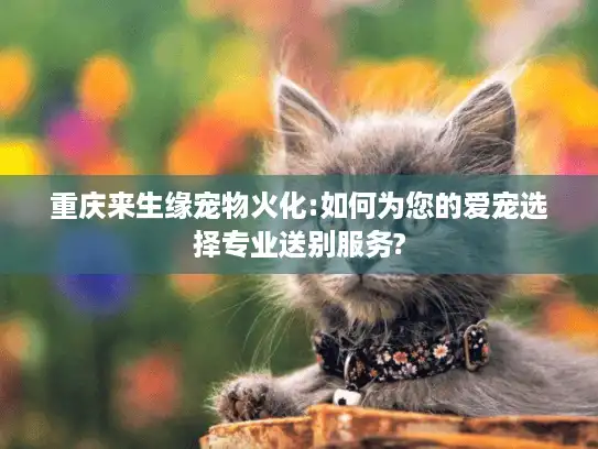 重庆来生缘宠物火化:如何为您的爱宠选择专业送别服务?