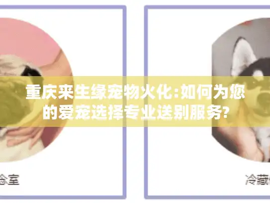 重庆来生缘宠物火化:如何为您的爱宠选择专业送别服务?