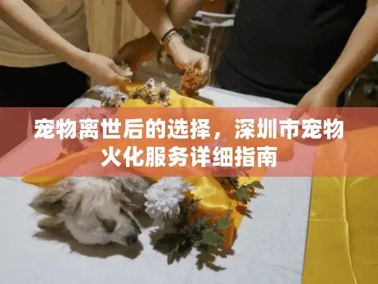 宠物离世后的选择，深圳市宠物火化服务详细指南