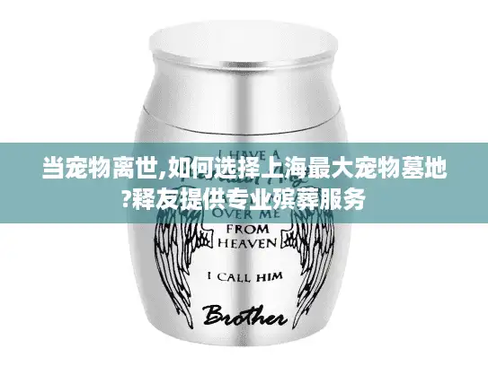 当宠物离世,如何选择上海最大宠物墓地?释友提供专业殡葬服务