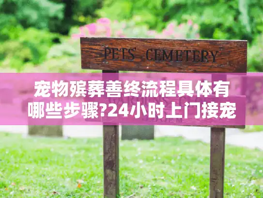 宠物殡葬善终流程具体有哪些步骤?24小时上门接宠服务靠谱吗