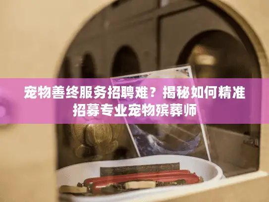 宠物善终服务招聘难？揭秘如何精准招募专业宠物殡葬师