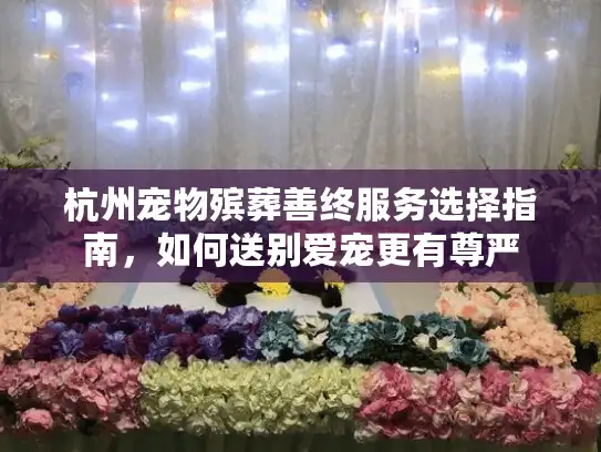 杭州宠物殡葬善终服务选择指南，如何送别爱宠更有尊严
