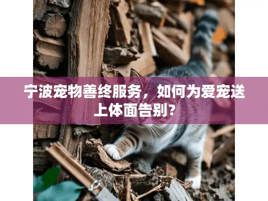 宁波宠物善终服务，如何为爱宠送上体面告别？