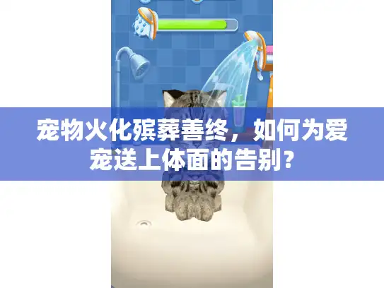宠物火化殡葬善终，如何为爱宠送上体面的告别？