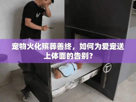 宠物火化殡葬善终，如何为爱宠送上体面的告别？
