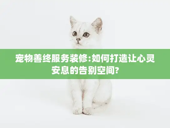 宠物善终服务装修:如何打造让心灵安息的告别空间?