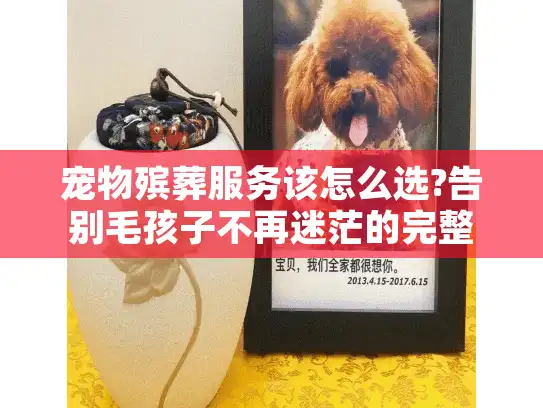 宠物殡葬服务该怎么选?告别毛孩子不再迷茫的完整指南
